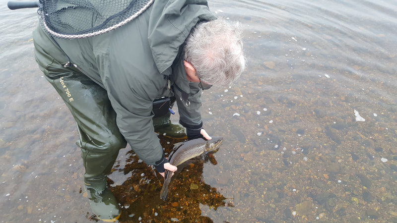 Davy Pottinger returning a 4lb plus sea trout - February 2019