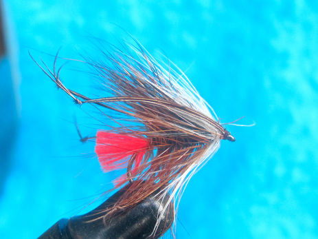 FISHING DEADLYFLY 3 x  Black Blue Loch Ordie Wet Fly NEW 